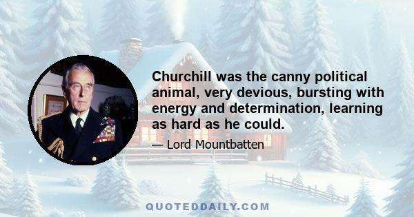 Churchill was the canny political animal, very devious, bursting with energy and determination, learning as hard as he could.