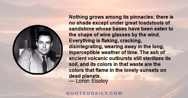 Nothing grows among its pinnacles; there is no shade except under great toadstools of sandstone whose bases have been eaten to the shape of wine glasses by the wind. Everything is flaking, cracking, disintegrating,