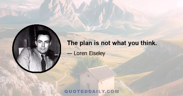 The plan is not what you think.