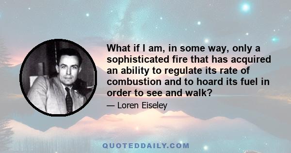 What if I am, in some way, only a sophisticated fire that has acquired an ability to regulate its rate of combustion and to hoard its fuel in order to see and walk?