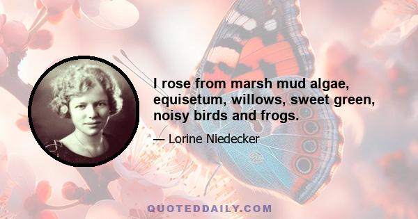 I rose from marsh mud algae, equisetum, willows, sweet green, noisy birds and frogs.