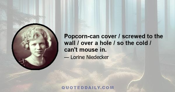 Popcorn-can cover / screwed to the wall / over a hole / so the cold / can't mouse in.