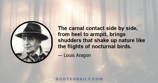 The carnal contact side by side, from heel to armpit, brings shudders that shake up nature like the flights of nocturnal birds.