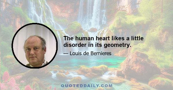 The human heart likes a little disorder in its geometry.