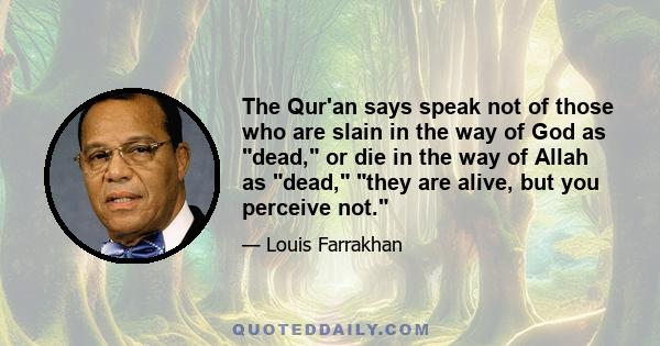 The Qur'an says speak not of those who are slain in the way of God as dead, or die in the way of Allah as dead, they are alive, but you perceive not.