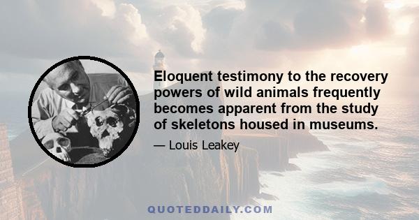 Eloquent testimony to the recovery powers of wild animals frequently becomes apparent from the study of skeletons housed in museums.