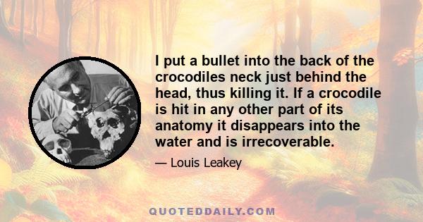 I put a bullet into the back of the crocodiles neck just behind the head, thus killing it. If a crocodile is hit in any other part of its anatomy it disappears into the water and is irrecoverable.