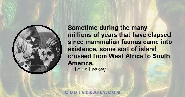 Sometime during the many millions of years that have elapsed since mammalian faunas came into existence, some sort of island crossed from West Africa to South America.