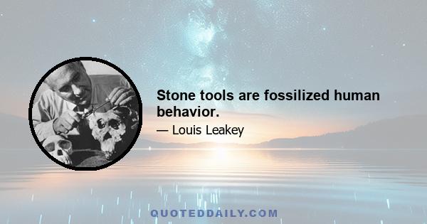 Stone tools are fossilized human behavior.