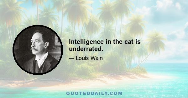 Intelligence in the cat is underrated.