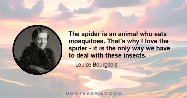 The spider is an animal who eats mosquitoes. That's why I love the spider - it is the only way we have to deal with these insects.