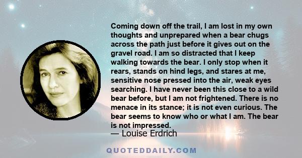 Coming down off the trail, I am lost in my own thoughts and unprepared when a bear chugs across the path just before it gives out on the gravel road. I am so distracted that I keep walking towards the bear. I only stop