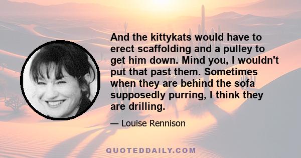 And the kittykats would have to erect scaffolding and a pulley to get him down. Mind you, I wouldn't put that past them. Sometimes when they are behind the sofa supposedly purring, I think they are drilling.