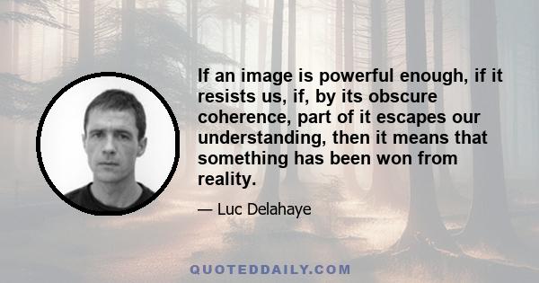 If an image is powerful enough, if it resists us, if, by its obscure coherence, part of it escapes our understanding, then it means that something has been won from reality.