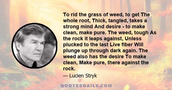 To rid the grass of weed, to get The whole root, Thick, tangled, takes a strong mind And desire - to make clean, make pure. The weed, tough As the rock it leaps against, Unless plucked to the last Live fiber Will plunge 