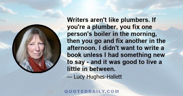 Writers aren't like plumbers. If you're a plumber, you fix one person's boiler in the morning, then you go and fix another in the afternoon. I didn't want to write a book unless I had something new to say - and it was