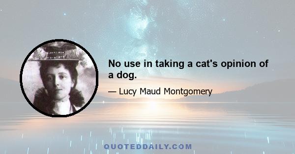 No use in taking a cat's opinion of a dog.