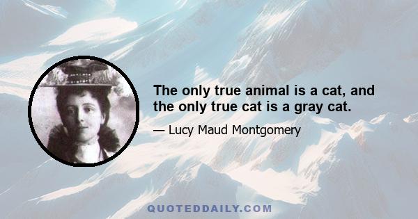 The only true animal is a cat, and the only true cat is a gray cat.