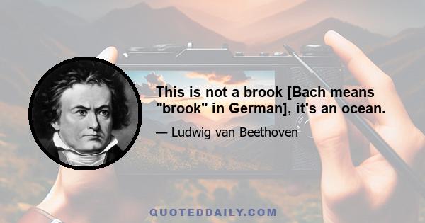 This is not a brook [Bach means brook in German], it's an ocean.