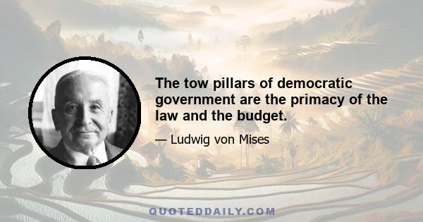 The tow pillars of democratic government are the primacy of the law and the budget.