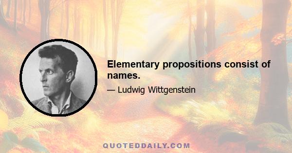 Elementary propositions consist of names.