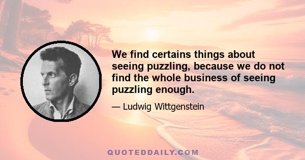 We find certains things about seeing puzzling, because we do not find the whole business of seeing puzzling enough.