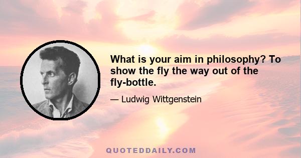 What is your aim in philosophy? To show the fly the way out of the fly-bottle.