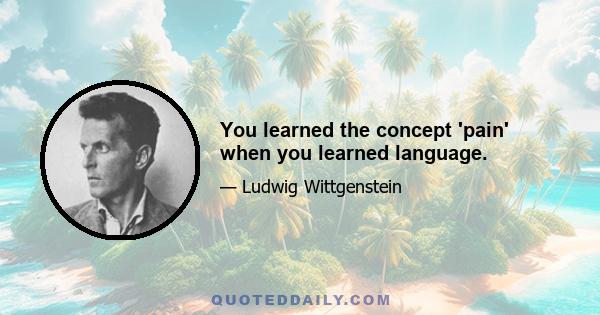 You learned the concept 'pain' when you learned language.