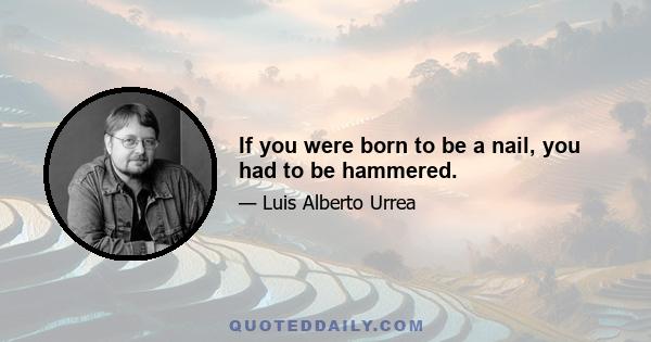 If you were born to be a nail, you had to be hammered.