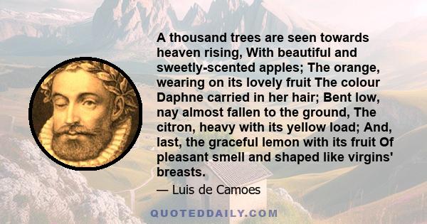 A thousand trees are seen towards heaven rising, With beautiful and sweetly-scented apples; The orange, wearing on its lovely fruit The colour Daphne carried in her hair; Bent low, nay almost fallen to the ground, The