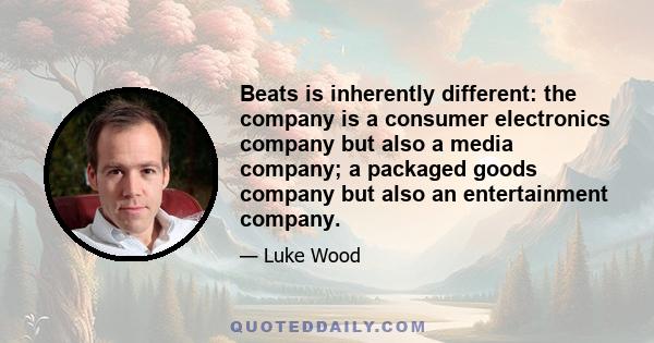 Beats is inherently different: the company is a consumer electronics company but also a media company; a packaged goods company but also an entertainment company.