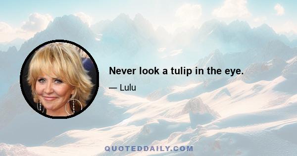 Never look a tulip in the eye.