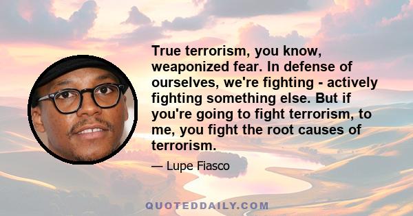 True terrorism, you know, weaponized fear. In defense of ourselves, we're fighting - actively fighting something else. But if you're going to fight terrorism, to me, you fight the root causes of terrorism.