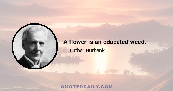 A flower is an educated weed.