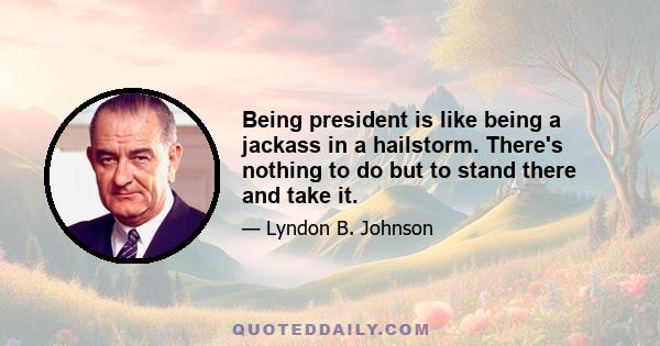 Being president is like being a jackass in a hailstorm. There's nothing to do but to stand there and take it.