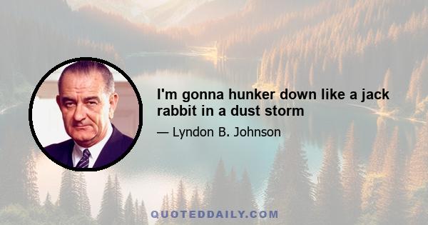 I'm gonna hunker down like a jack rabbit in a dust storm