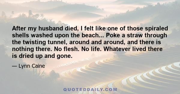 After my husband died, I felt like one of those spiraled shells washed upon the beach... Poke a straw through the twisting tunnel, around and around, and there is nothing there. No flesh. No life. Whatever lived there