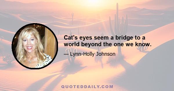 Cat's eyes seem a bridge to a world beyond the one we know.