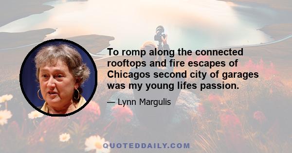 To romp along the connected rooftops and fire escapes of Chicagos second city of garages was my young lifes passion.