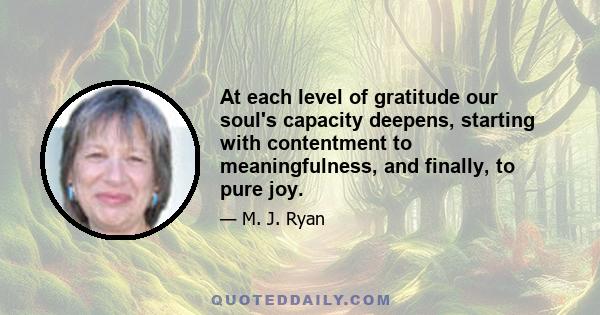 At each level of gratitude our soul's capacity deepens, starting with contentment to meaningfulness, and finally, to pure joy.