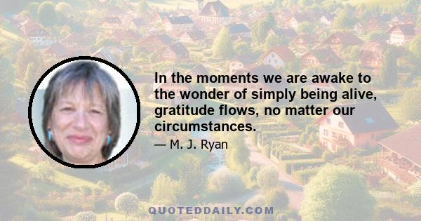 In the moments we are awake to the wonder of simply being alive, gratitude flows, no matter our circumstances.