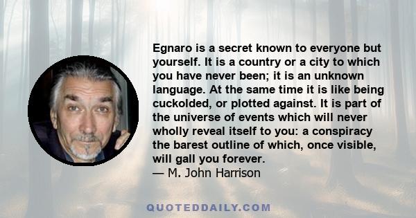 Egnaro is a secret known to everyone but yourself. It is a country or a city to which you have never been; it is an unknown language. At the same time it is like being cuckolded, or plotted against. It is part of the