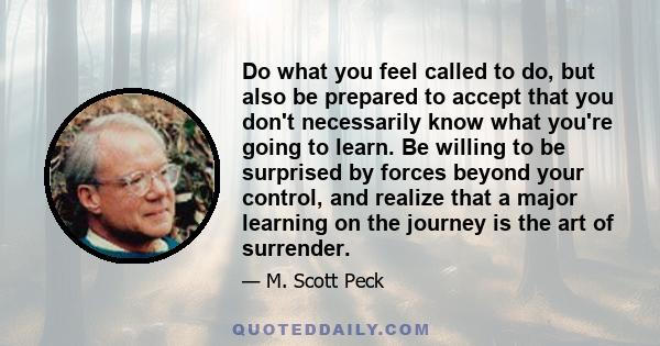 Do what you feel called to do, but also be prepared to accept that you don't necessarily know what you're going to learn. Be willing to be surprised by forces beyond your control, and realize that a major learning on