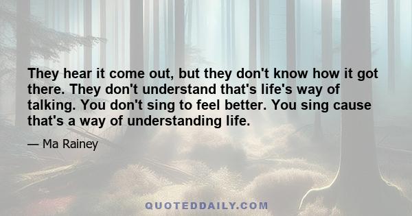 They hear it come out, but they don't know how it got there. They don't understand that's life's way of talking. You don't sing to feel better. You sing cause that's a way of understanding life.