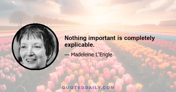 Nothing important is completely explicable.