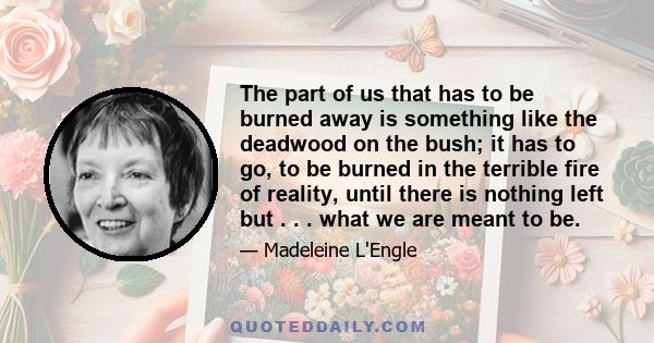 The part of us that has to be burned away is something like the deadwood on the bush; it has to go, to be burned in the terrible fire of reality, until there is nothing left but . . . what we are meant to be.