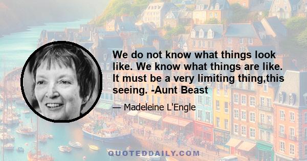 We do not know what things look like. We know what things are like. It must be a very limiting thing,this seeing. -Aunt Beast