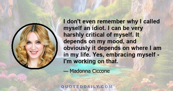 I don't even remember why I called myself an idiot. I can be very harshly critical of myself. It depends on my mood, and obviously it depends on where I am in my life. Yes, embracing myself - I'm working on that.