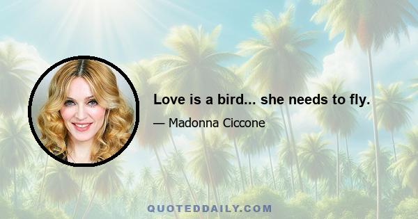 Love is a bird... she needs to fly.