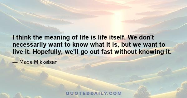 I think the meaning of life is life itself. We don't necessarily want to know what it is, but we want to live it. Hopefully, we'll go out fast without knowing it.